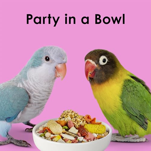 Kaytee-Fiesta-Big-Bites-Small-Parrot-Conure-Food-Nutritious-and-Fun-Blend-Supports-Skin-Feather-Digestion-Brain-and-Heart-Health-4-pounds