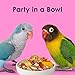 Kaytee Fiesta Big Bites Small Parrot & Conure Food, Nutritious and Fun Blend, Supports Skin, Feather, Digestion, Brain and Heart Health, 4 pounds