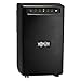 Tripp Lite 1500VA UPS Backup, 940W Line-Interactive AVR, Extended Run Option, Tower, USB (OMNIVS1500XL)