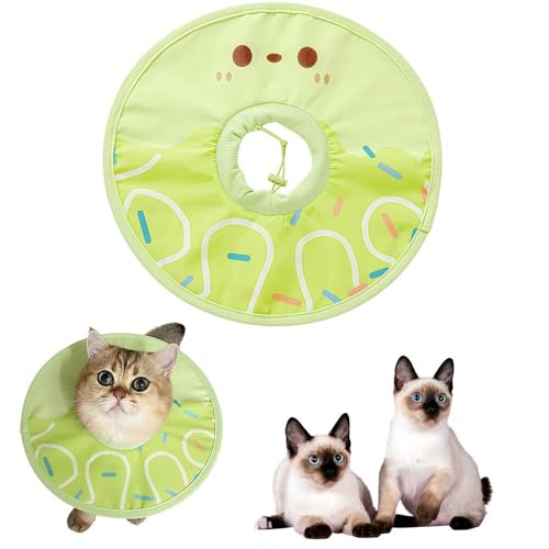 Lifetips �g�C�{�u Toybob �� �G���U�x�X�J���[ �L �G���U�x�X�J���[ �y�b�g�p �h�� �\�t�g �^�C�v ���L���p �p�� �P�A ���� �ی� ��� ��� �y�b�g �Ō� �p�i �y�� �₳���� �����S�n ���� �g�p �i�A�C�X�O���[���j �iM�j