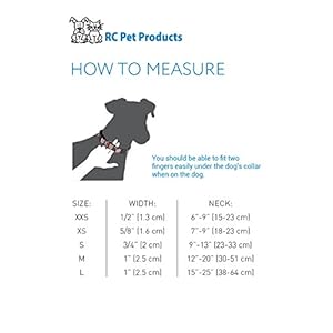 RC Pets 1 Inch Adjustable Dog Clip Collar, Medium, Pitter Patter Chocolate