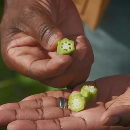 Seeking out the vanishing flavors of traditional Southern foods
