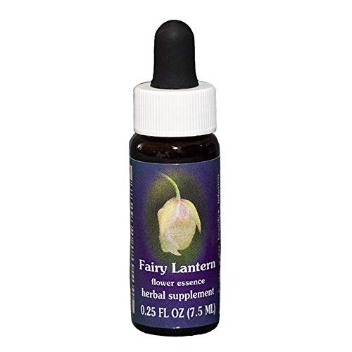 Flower Essence Services - Fairy Lantern Flower Essence - 0.25 oz. ( Multi-Pack)