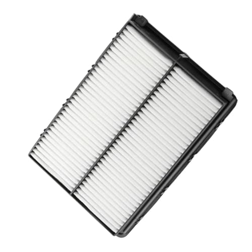 Filtre à air moteur contre l'encrassement pour Kia Sedona et Hyundai Santa Fe CA11943