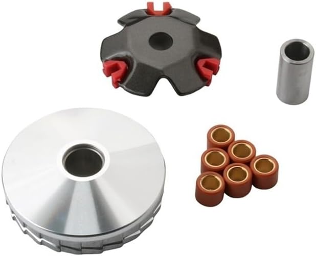 Scooter Variator Kit Racing Roller 16 13mm 7g for Fi Or1 Sy 50cc 4-Stroke AC AW05W