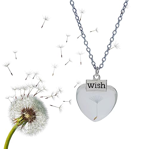 Aloha Collana Dente di leone Esprimi un desiderio Fiore Vero Soffione Catena in Acciaio Collane Idea Regalo Donna Compleanno Amica by
