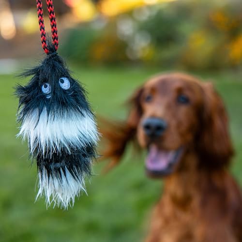 image for Outward Hound Tail Teaser Interactive Dog Wand Toy with Squeaky Plush 