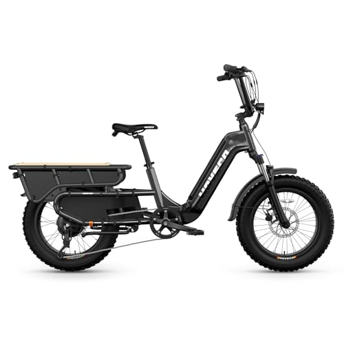 HOVSCO Family Electric Bike image