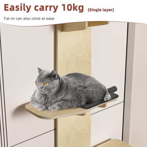 Árbol para gato de puerta con 4 niveles y montaje en pared miniatura 4