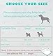 Purrfect Pfotentoilette mit hohen Wänden, Indoor-Hundetöpfchen für kleine und mittelgroße Hunde, kein Verschütten von Urinierpad-Halter