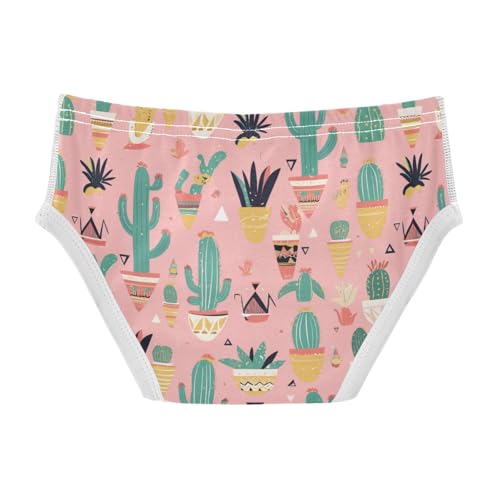 Wusikd Cacti Succulents Boys' Underwear Cotton Cute Boys Briefs Soft Toddler Underwear 2T2