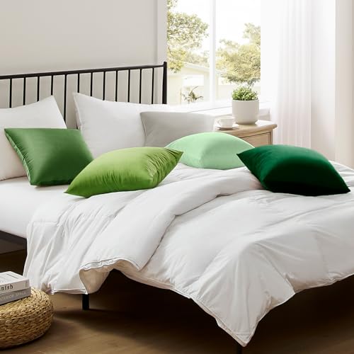 Housses de coussin Softaker en velours vert sauge pour rénover votre sofa