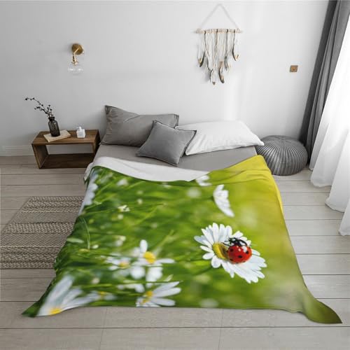 Couverture flanelle Ladybug plaid doux pour vos soirées sur le canapé - 6
