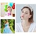Kapokr Krone Diadem Silber Kristalldiamant Diadem Hochzeit Tiara Krone Damen Krönchen für Geburtstag, Hochzeit, Festzug, Abschlussball Party
