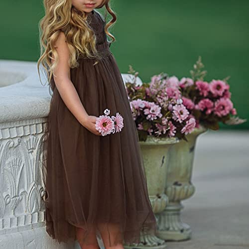 Girls Lace Dress Girls Children's Clothes Puffy Mesh Dress Flower Girl Dress Princess Dress Baby Girl Dresses 183