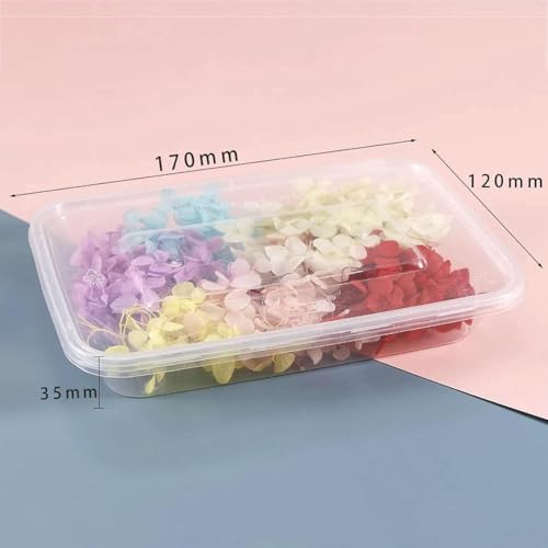Box de flores secas para velas aromáticas y manualidades miniatura 2