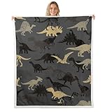 Diverses utilisations : jeté de canapé, couverture de lit, couverture d'intérieur et d'extérieur, voyage, article cadeau, décoration de maison, vacances, anniversaire, pendaison de crémaillère, accessoire photo et plus encore