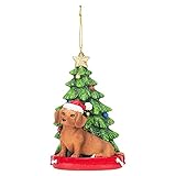 Kurt S. Adler Red Dachshund Wearing Santa Hat with Christmas Tree Ornament, Resin, C7615RDA New