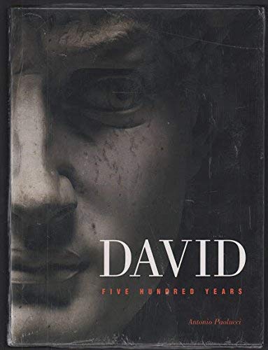 David: Five Hundred Years [Italian] 8881171031 Book Cover