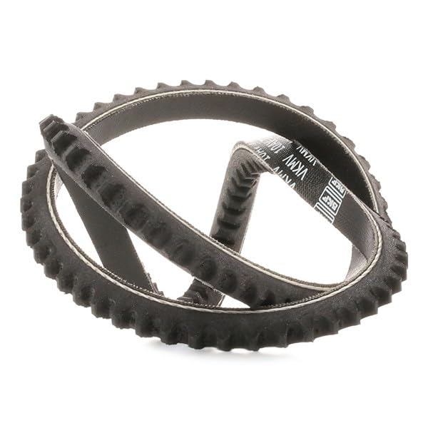 Courroie Trapézoïdale SKF VKMV 10AVX730 - Pour Système D'Accessoires Véhicule - Haute Qualité