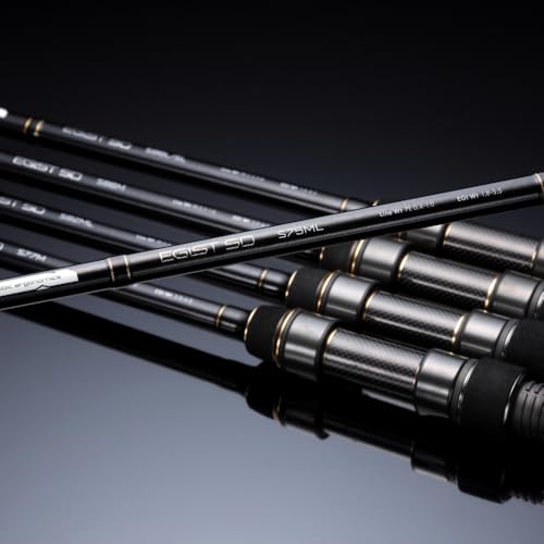 軽さも強さも抜かりなし！すべてを備えたスタンダードなエギングロッド