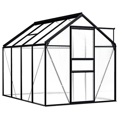YLIEHS Spacious Anthracite Aluminum Greenhouse for Hobby Gardening, 51.1 ft² with Polycarbonate Panels, Easy Assembly