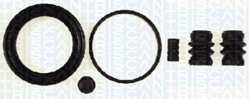 Preisvergleich Produktbild TRISCAN 8170 205479 Reparatursatz, Bremssattel