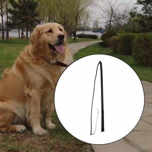 Dog Training Whip Strengths vs Trade-Offs