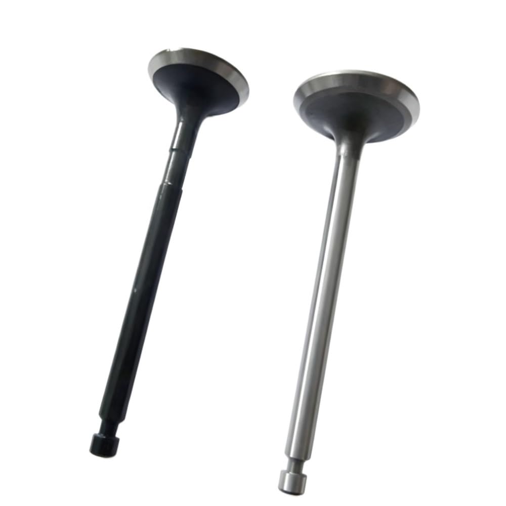 Intake Valves Fit For EF6600 MZ360 EF5200 EF5500TE