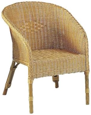 AUBRY GASPARD Fauteuil Rotin Miel 60 x 61 x 73 cm