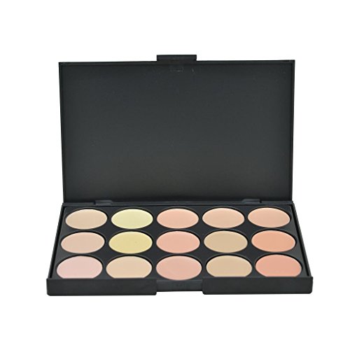 GAGA Fashion 15 Color Concealer Camouflage Makeup Palette
