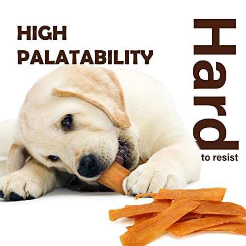 Afreschi Turkey Tendon Dog Treats, All Natural Human Grade Dog Treat, Suitable For Training Chew, Ingredient Sourced From Usa, Hypoallergenic, Rawhide Alternative, Slice #TOP2