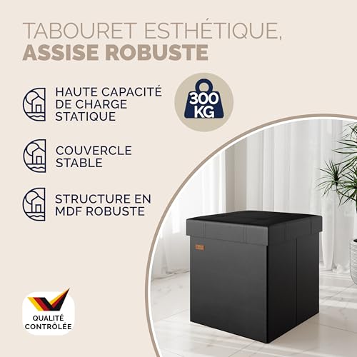 2 Tabourets Cube Rangement 40L Noir Pliables Casaria