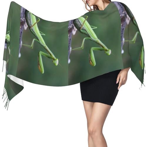 HDTVTV Écharpe à pompons en imitation cachemire, idéale pour le printemps, l'automne et l'hiver, chaude et douce, effet couverture-écharpe à pompons. Mante religieuse verte – vue 3
