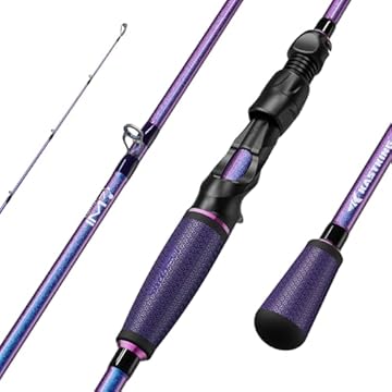 best top water rod