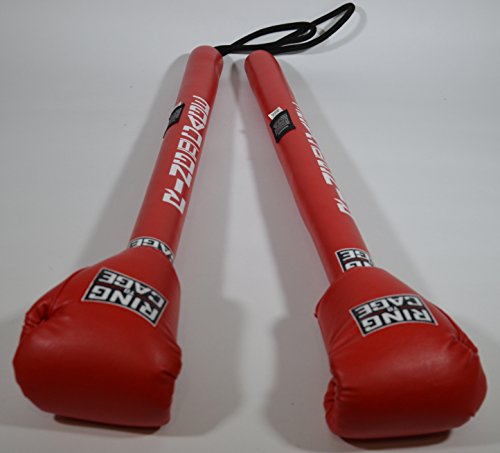 Boxing Precision Training Sticks/Stick Mitts - 2 Styles To Choose From (With-Gloves) #TOP3