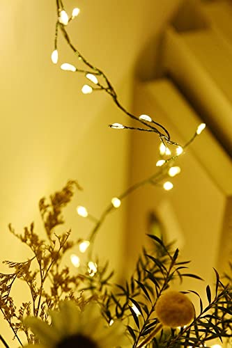 Dailyart 6Feet 120 Led Starry Lights, Battery Operated Waterproof Dark Green Copper Wire Fairy Light String Light For Garland, Wreath, Patio, Garden, Wedding, Party, Xmas #TOP7
