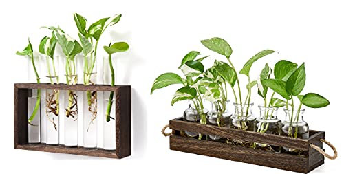 Mkono Farmhouse Plant Propagation Jars Plant Terrarium With Wooden Stand, Desktop Glass Planter Hydroponic Vase For Living Room Home Office Decor Gift Idea #TOP15