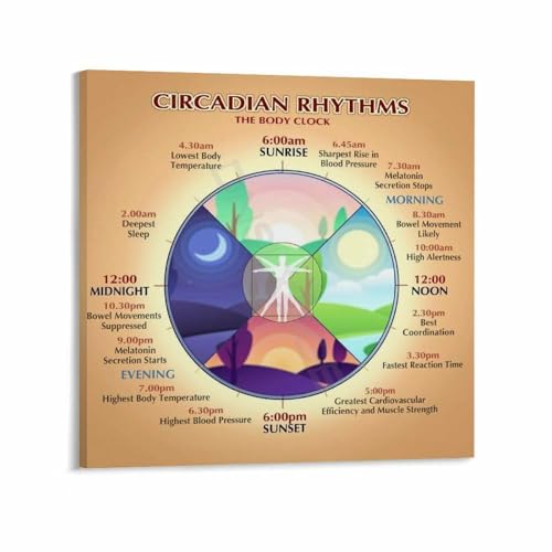 Optimize Your Circadian Rhythm Poster Health Knowledge (11) Canvas Painting