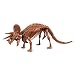 Uncle Milton Dr. Steve Hunters-Dino Dig Excavation Kit Triceratops-12 Pieces-Scientific Educational Toy