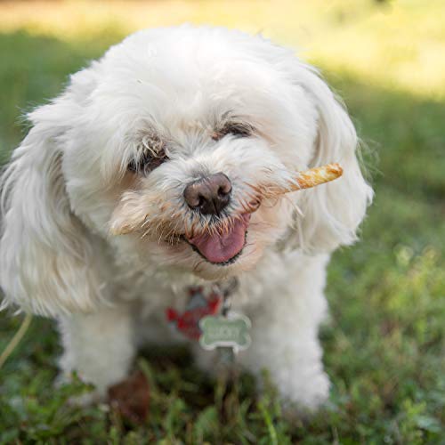 Lucky Premium Treats Beef Basted Rawhide – All-Natural Rawhide And Beef Dog Treats For Small Dogs, Gluten Free Premium Small Dog Treats (25 Chews) #TOP7