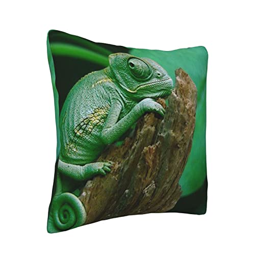 Radda Green Lizard Print Throw Pillow Covers,Decorative Soft Corduroy Cushion Covers For Living Room Bedroom Couch Bed Sofa #TOP1