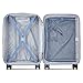 DELSEY PARIS Cruise 3.0 Hardside Expandable Luggage with Spinner Wheels, Platinum, Carry on 20 Inch