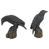 Design Toscano CL6170 Mystic Night Raven gotyckie statuetki, 15 cm, zestaw dwóch sztuk, żywica poliestrowa, pełny kolor