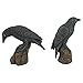 Design Toscano Mystic Night Raven Statues