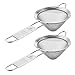 Fine Mesh Sieve Strainer Pack of 2 Stainless Steel Cocktail Strainer Food Strainers Tea Strainer 3 inch by Homestia