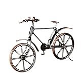* 【Design】Finement détaillé et doté d'une apparence distinctive, ce modèle de vélo rafraîchit votre intérieur avec élégance et style artistique.