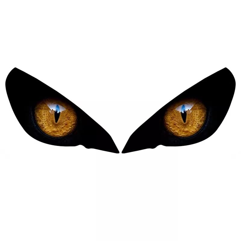 For Street Triple S 765 765RS 765R Speed Triple 1200RS Motorcycle Accessories Headlight Protection Sticker Headlights Eye Body Stickers