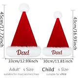plversi 1Pc Personalised Christmas Santa Hat for Adults, Unisex Velvet Comfort Christmas Hats Extra Thicken Classic Fur for New Year Festive Holiday Party Supplies