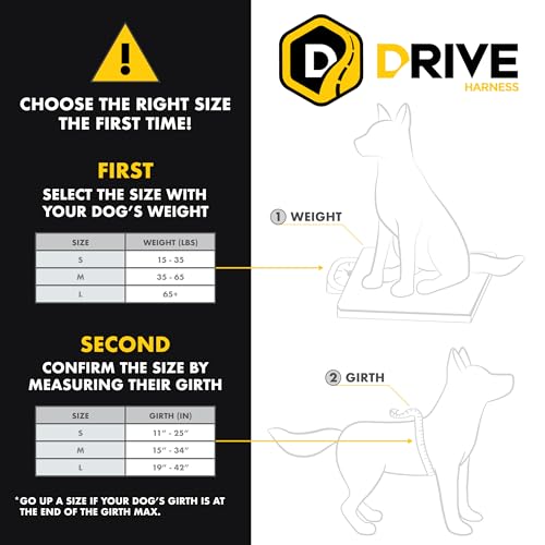 EzyDog Drive Dog Safety car harness